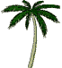 images/tree.gif (9847 bytes)